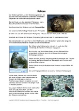 Robben-Arten-Steckbrief-Seite-1-3.pdf